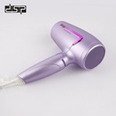 DSP Hair Dryer 30299