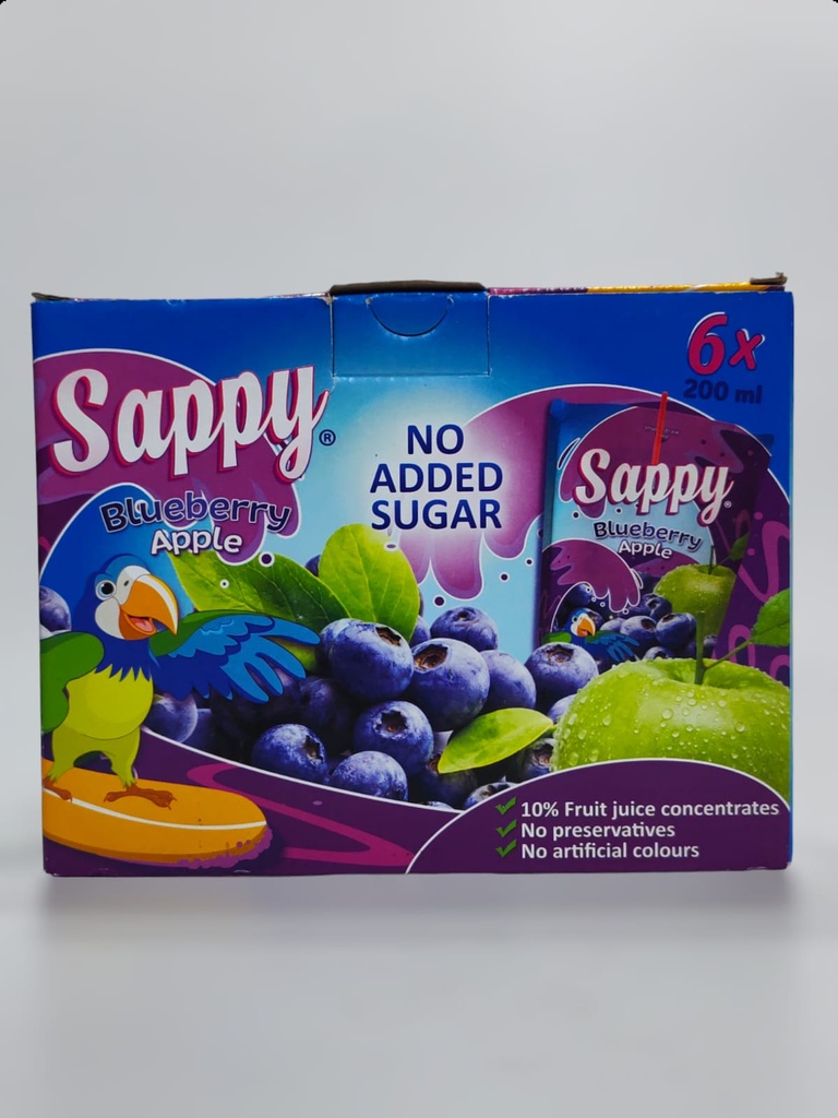 Sappy Blueberry Apple No Added Sugar 6*200ml