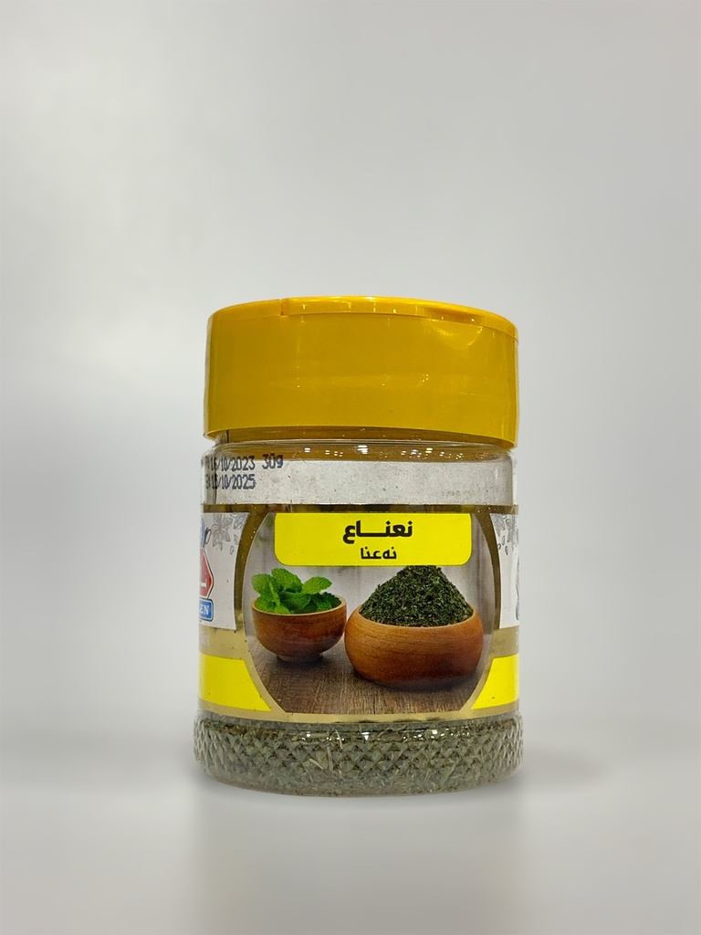 Dried Mint Spices Alen 30g