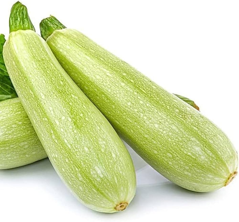 Zucchini