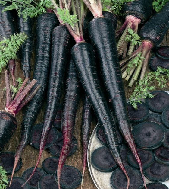 Black Carrots