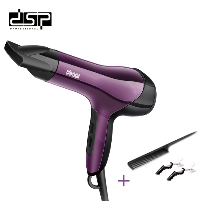 DSP Hair Dryer 30141