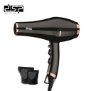 DSP Hair Dryer 30089