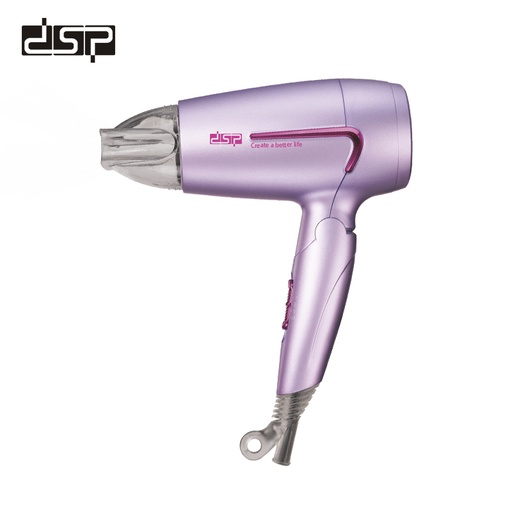 DSP Hair Dryer 30299