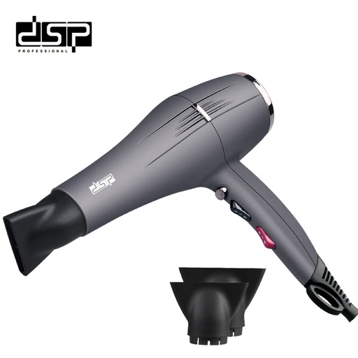 DSP Hair Dryer 30103