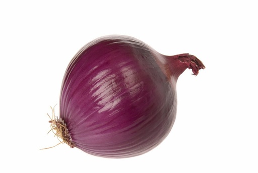 Onion Red