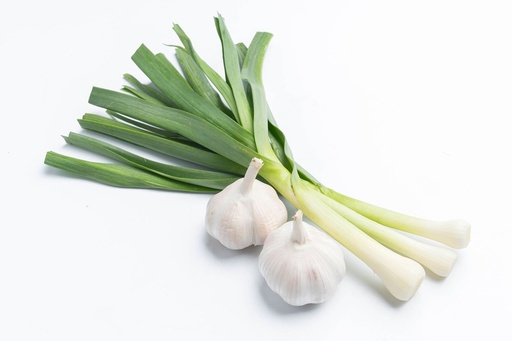 Green Garlic 1 Piece